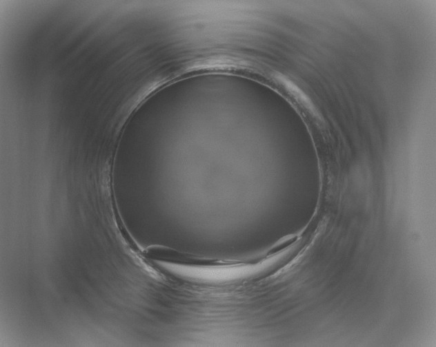 X0000075901329200609291722