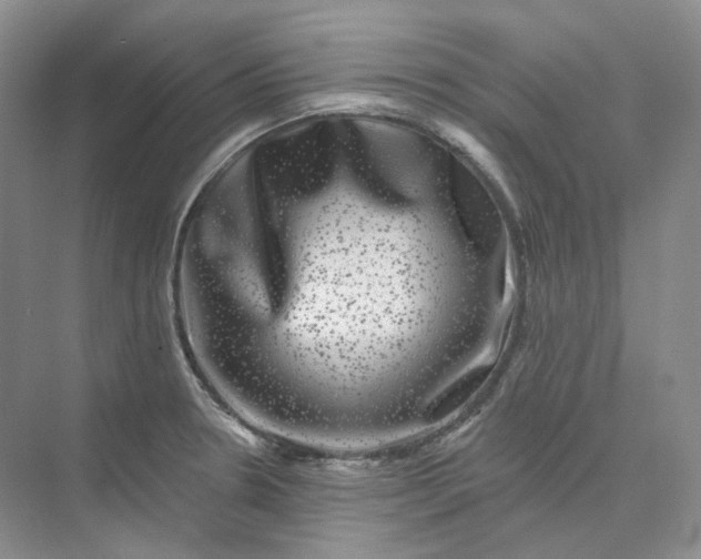 X0000075901330200609291722