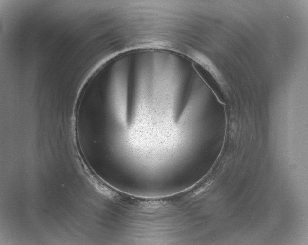 X0000075901332200609291722