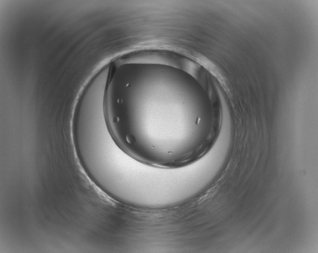 X0000075901334200609291722