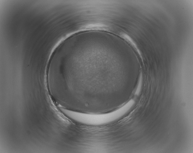 X0000075901336200609291722