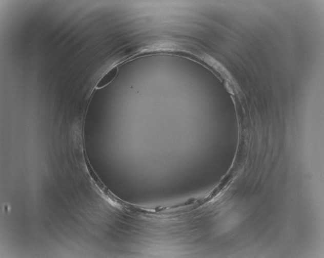 X0000075901337200609291722