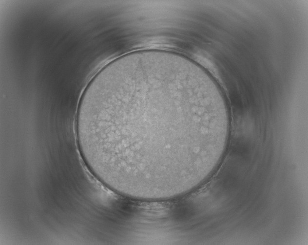 X0000075901338200609291722