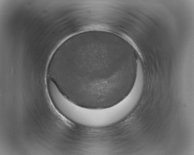 X0000075901339200609291722