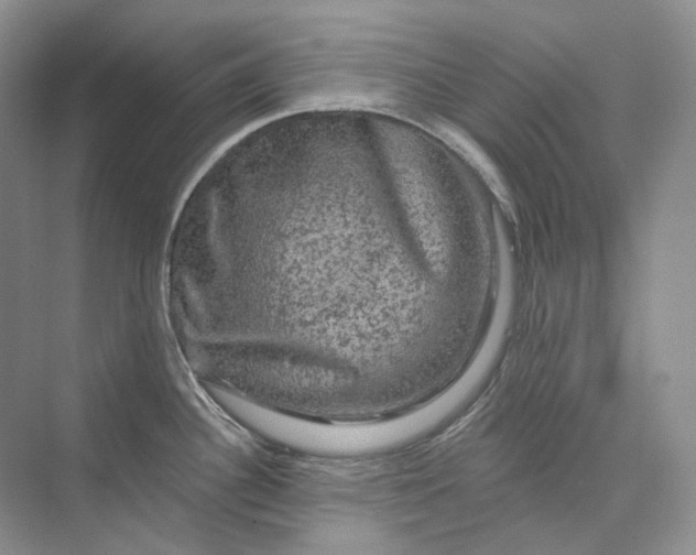 X0000075901340200609291722