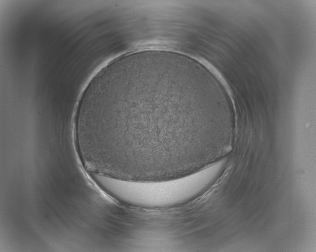 X0000075901341200609291722