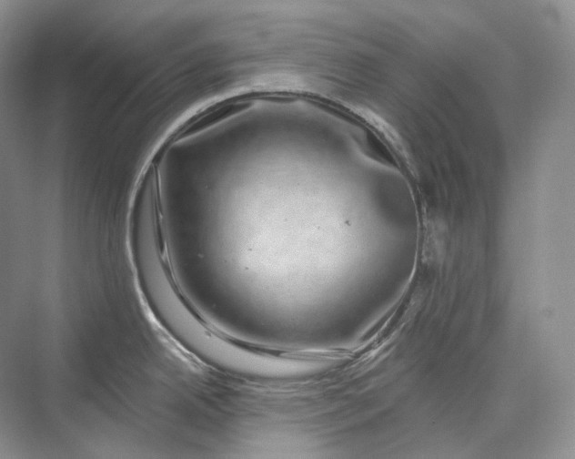 X0000075901342200609291722