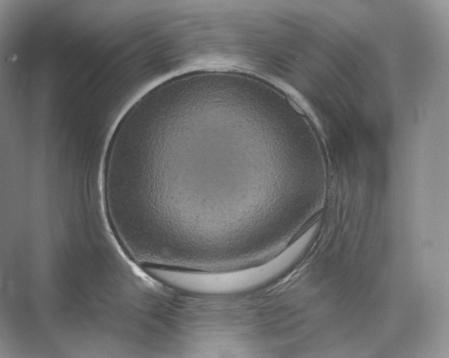 X0000075901343200609291722