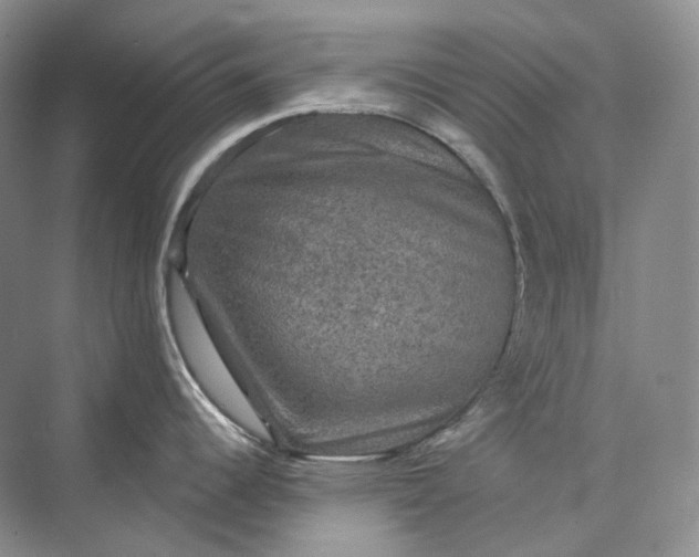 X0000075901344200609291722