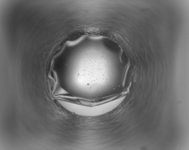 X0000075901345200609291721