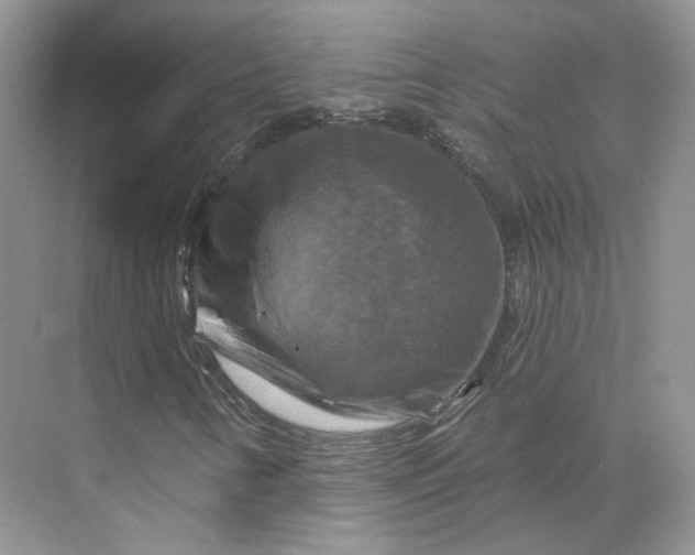 X0000075901346200609291721