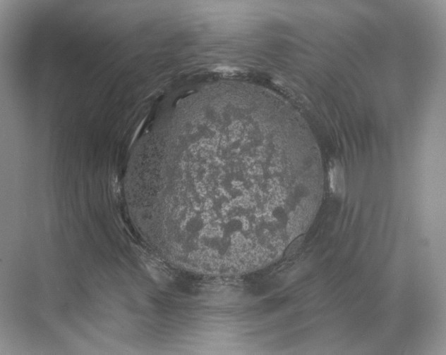 X0000075901347200609291721