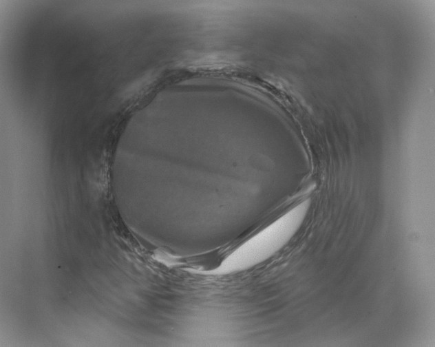 X0000075901350200609291721