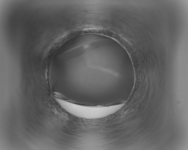 X0000075901351200609291721