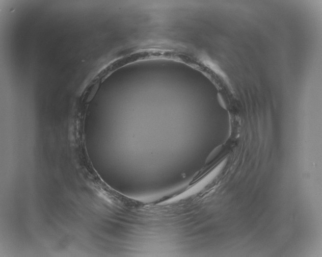 X0000075901352200609291721