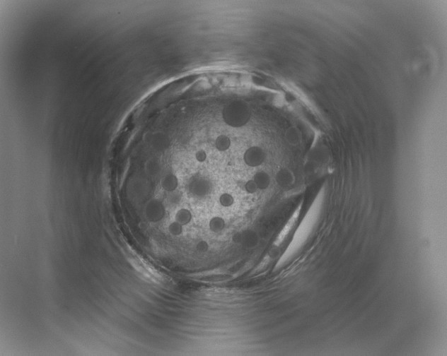 X0000075901356200609291721