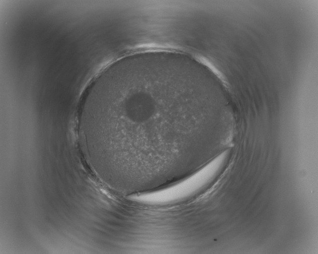 X0000075901357200609291721