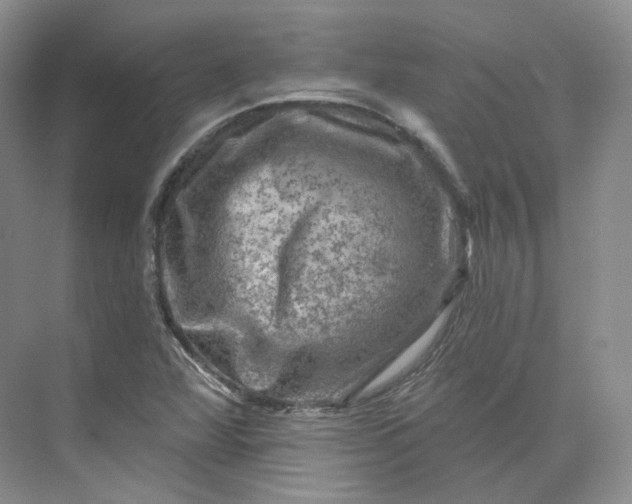 X0000075901360200609291721