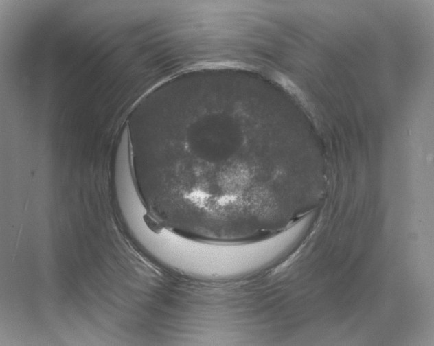 X0000075901361200609291721