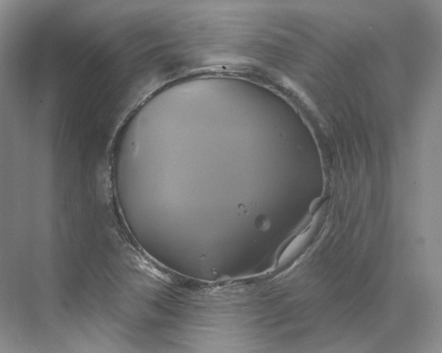 X0000075901362200609291721