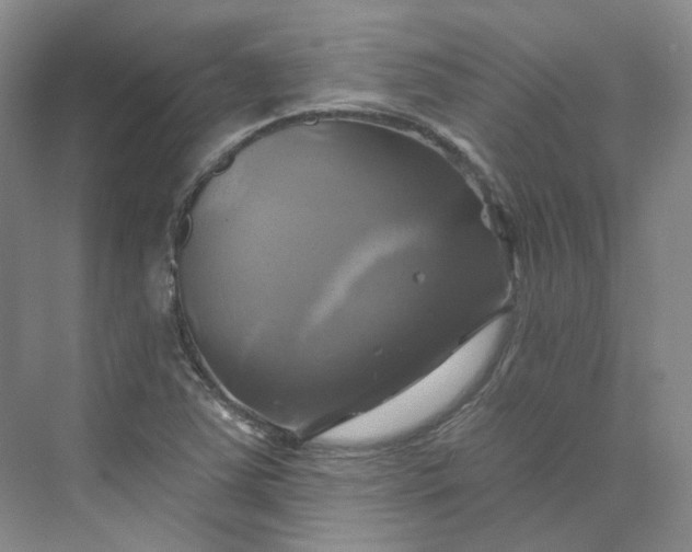 X0000075901363200609291721