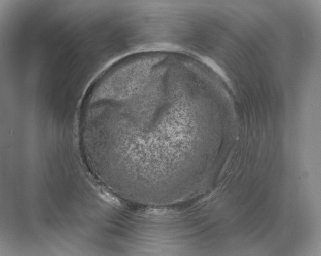 X0000075901364200609291721