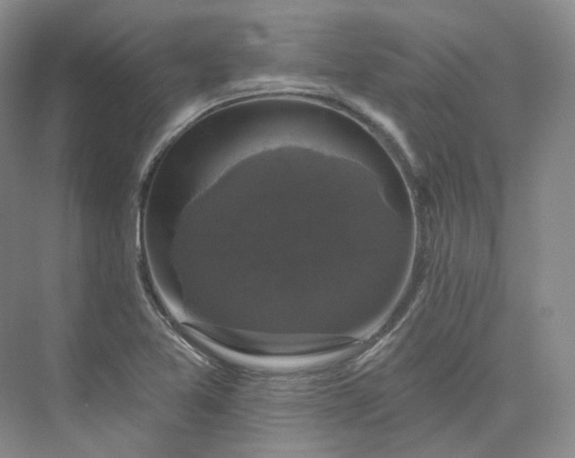 X0000075901365200609291721