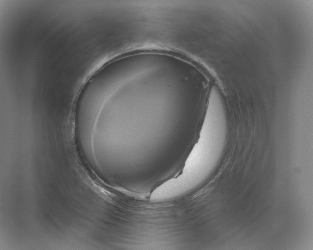 X0000075901367200609291721