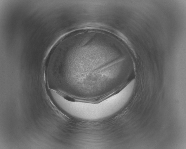 X0000075901368200609291721