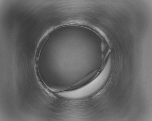 X0000075901373200609291721