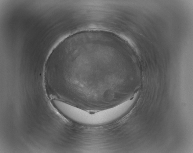 X0000075901374200609291721