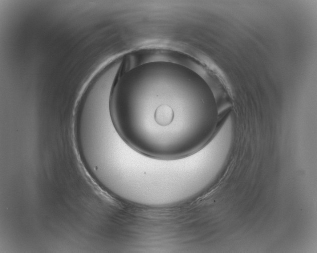 X0000075901376200609291721