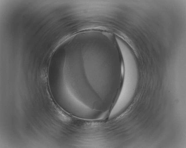 X0000075901377200609291721