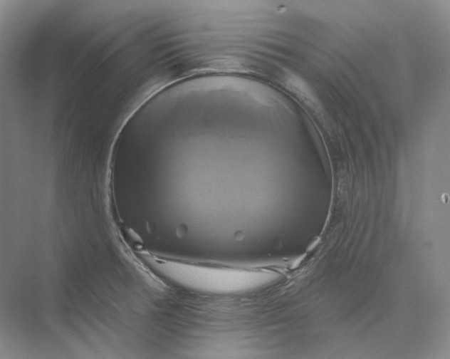 X0000075901378200609291721