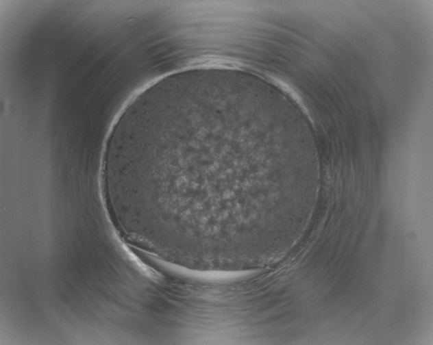 X0000075901379200609291721