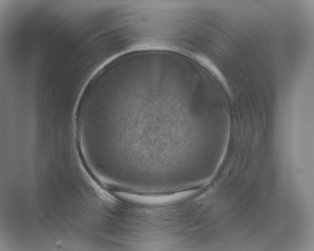 X0000075901380200609291721