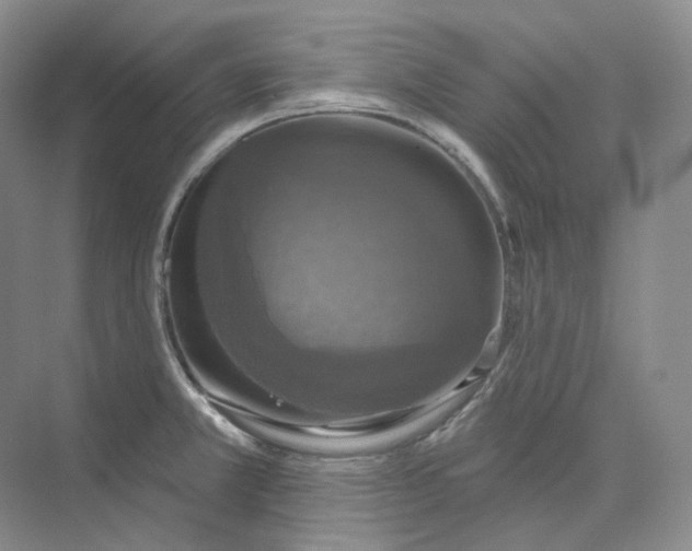 X0000075901381200609291720