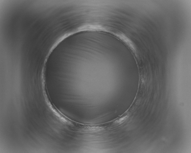 X0000075901382200609291720