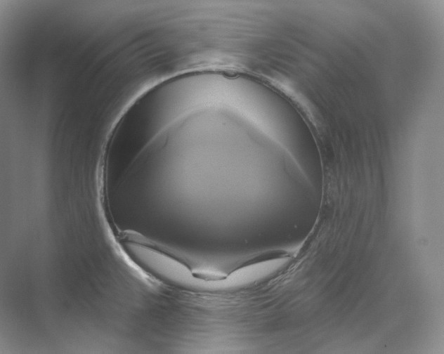 X0000075901383200609291720