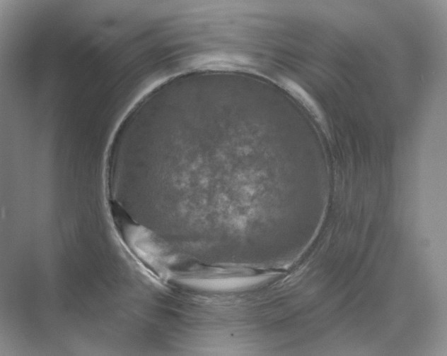 X0000075901384200609291720