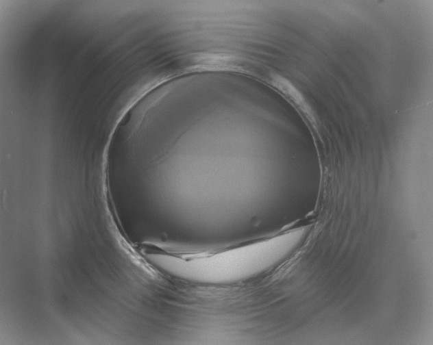 X0000075901386200609291720