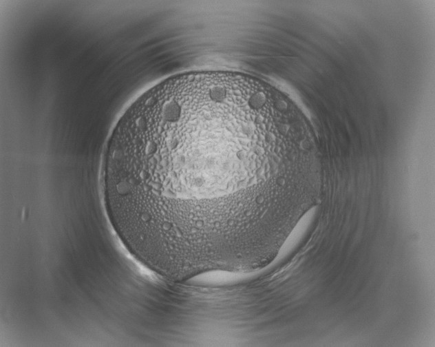 X0000075901387200609291720