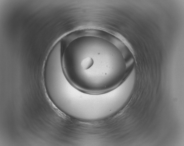 X0000075901388200609291720