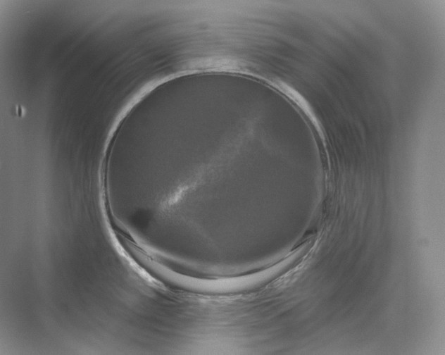 X0000075901389200609291720