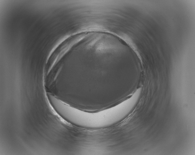 X0000075901390200609291720