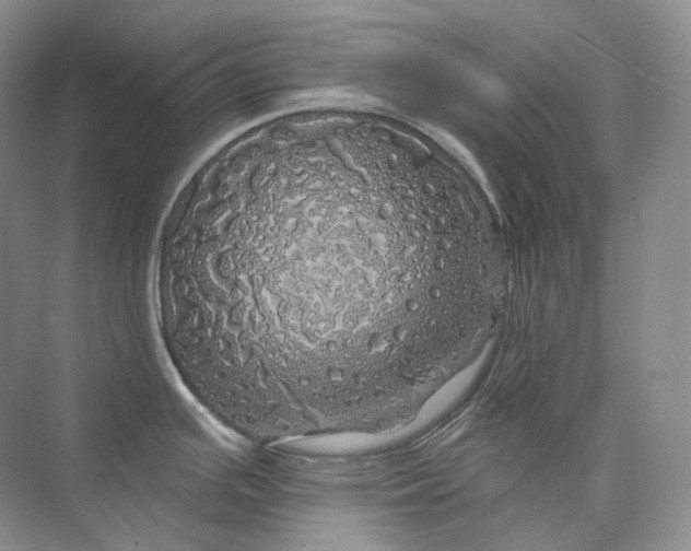 X0000075901391200609291720