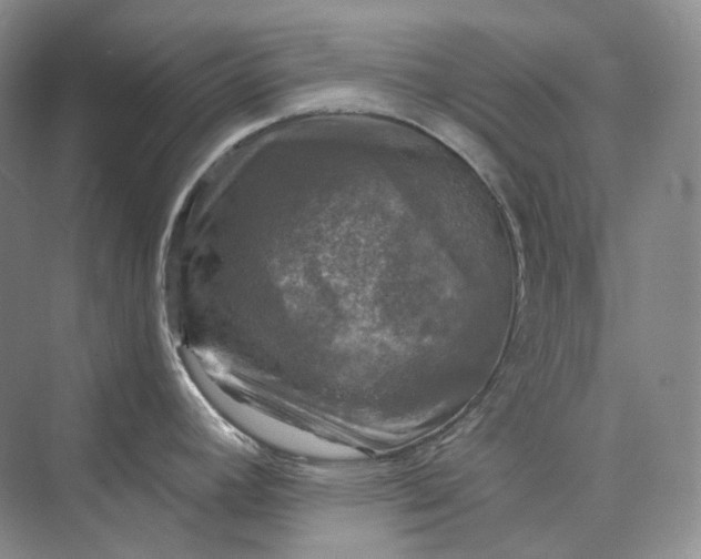 X0000075901392200609291720