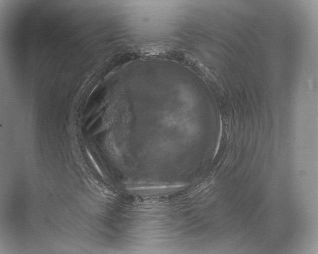 X0000075901393200609291719