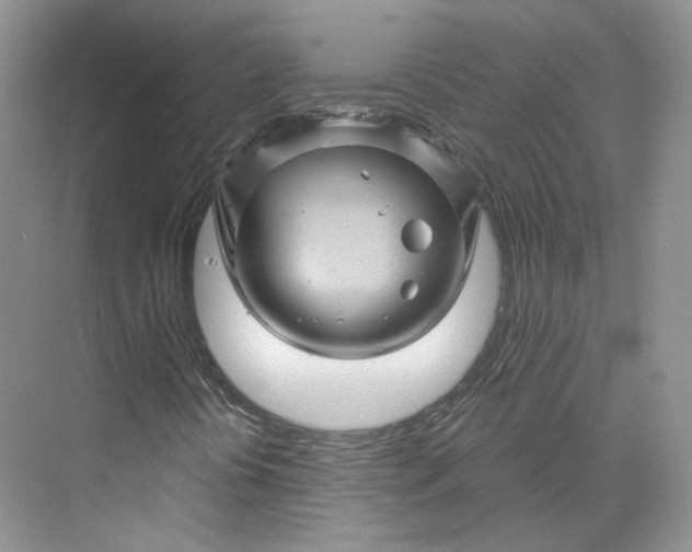 X0000075901394200609291720