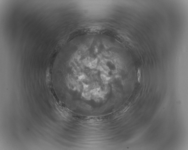 X0000075901395200609291720